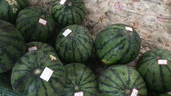 免费吃瓜摊,街头美食盛宴，畅享夏日清凉  第2张