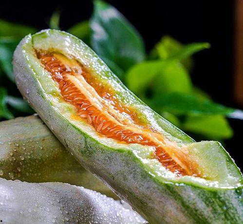 网红吃瓜头像图片大全,趣味横生的表情包盛宴  第1张