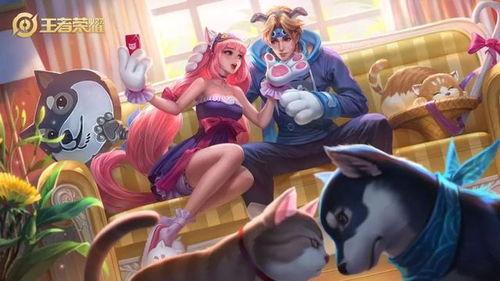 大乔猫狗爆料视频大全集,揭秘视频大全集精彩瞬间  第3张