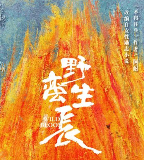 野蛮生长最新爆料,揭秘行业巨头背后的秘密与挑战  第1张