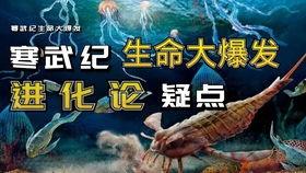 寒武纪在线观看360,一场跨越亿年的生命盛宴 第3张 寒武纪在线观看360,一场跨越亿年的生命盛宴 第3张