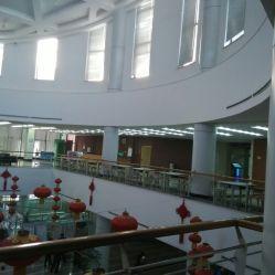 大连图书馆爆料事件视频,揭秘背后真相与争议  第3张