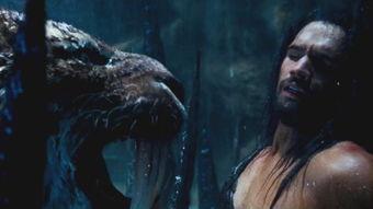 爆料明月鸟哥视频下载,轻松获取热门内容  第1张