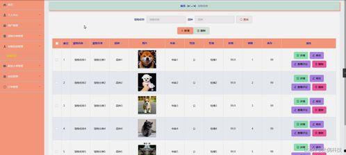 最新宠物爆料网站,萌宠动态大盘点，揭秘宠物界的秘密生活  第2张
